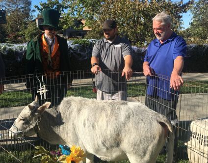 petting zoo