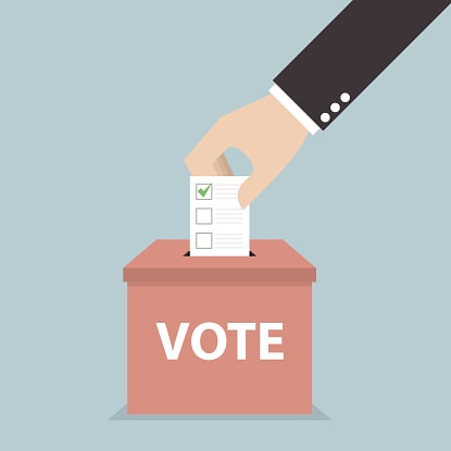 importance of voting article
